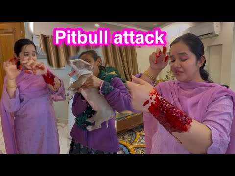 Pitbull ny kar diya attack | Sitara yaseen vlog