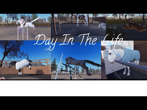 Day In The Life at CW Academy | Strideway vlog | Life On The Rein