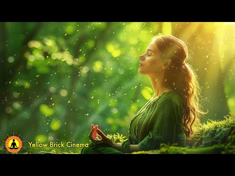 8 Hour Spa Relaxation Playlist: Massage Therapy, Healing Meditation, Calming Music for Study ☯3809