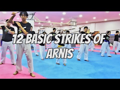 Arnis 12 basic strikes for beginners of Filipino Martial Arts