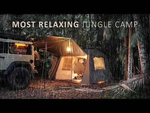 Relaxing SOLO CAMP in the RAINY JUNGLE [ Australian Rain Forest cosy vibes, new tent, ASMR ]