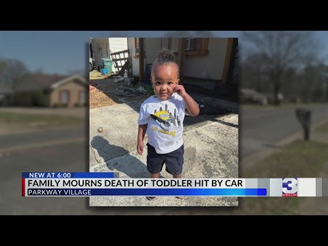 Toddler dies after being hit by car in Parkway Village