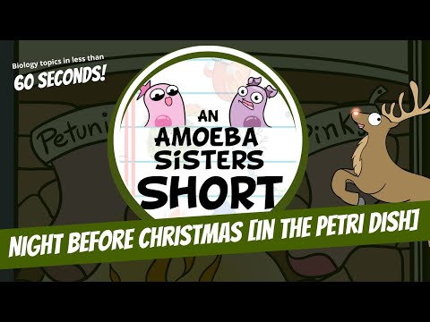 Night Before Christmas [in the Petri Dish] - Amoeba Sisters #Shorts