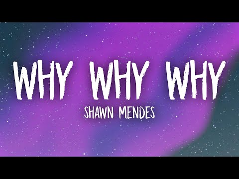 Shawn Mendes - Why Why Why