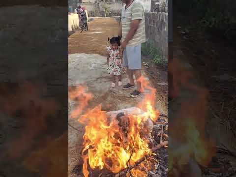 Happy bhogi #bhogi #festival #trending #viral #ytshorts