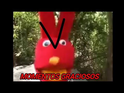 Momentos graciosos de Bodoque de 31 Minutos