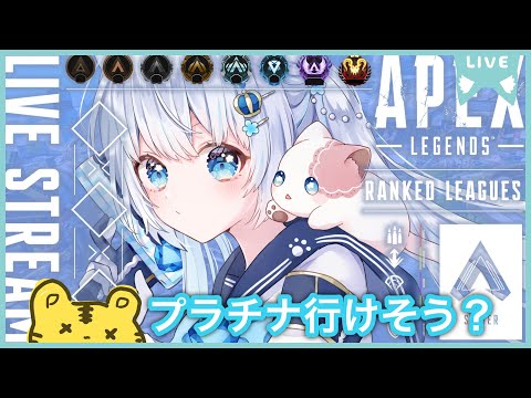 〖apex〗とらとランク💎ほぼプラチナみたいなもん‼️〖#vtuber / #猫海ましろ /#初見さん大歓迎〗