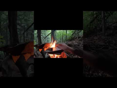 Cooking Fat Back Bacon & Bread on Rock #cooking, #camping #campfirecooking #bushcraftcooking