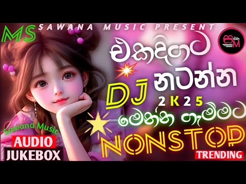 2025 Sinhala Party DJ Nonstop | Sinhala DJ | Sinhala DJ Nonstop | 2025 New DJ Songs