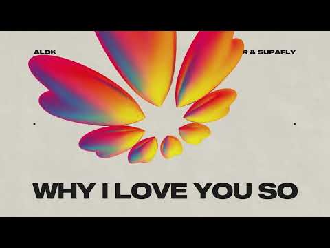 Alok, James Hurr & Supafly - Why I Love You So (Official Visualizer)