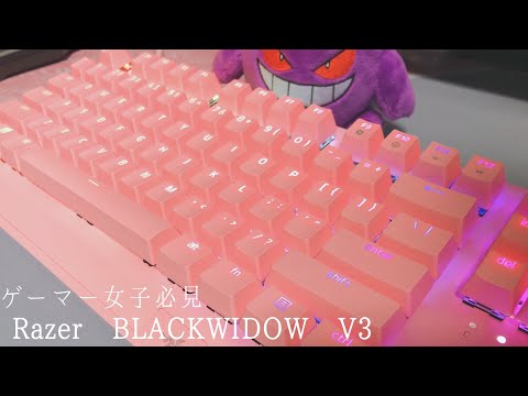 【ゲーマー女子必見】 ピンク色のキーボードが超可愛い！！Razer Blackwidow V3 　ピンクモデルカラー登場！　けんゆう