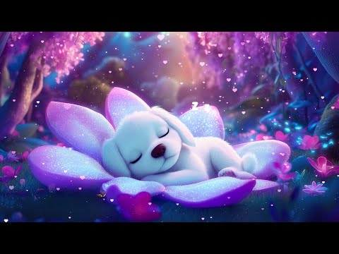 Deep Sleeping Music for Calm Nights 🌸 Remove Insomnia Forever 🧸 Fall Asleep In Under 3 Minutes