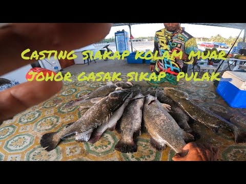 Teknik casting siakap udang kopek....kolam air masin 72 seri menanti