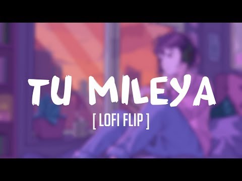 || Tu Mileya || Lofi