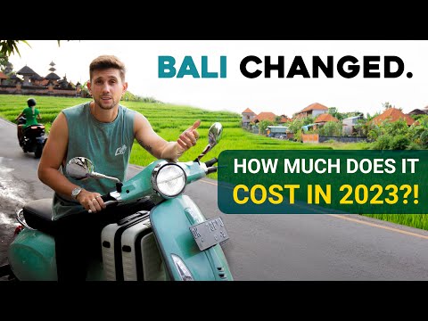 How Much Does it COST to LIVE IN BALI? (INSANE 2023 Update)