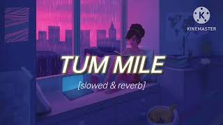 tum mile dil khile or jine ko kya chahiye (slowed and reverb) raj barman|| peaceful vibes