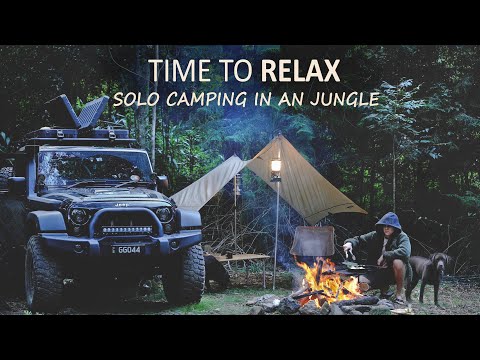 CAMPING and RELAXING in a Rain Forest with my Dog [Campfire Cooking, Jeep Wrangler Car camper] SoC13