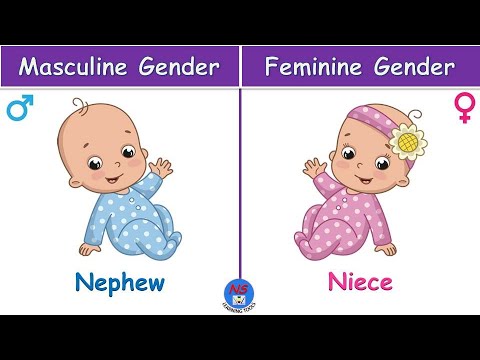 Masculine and Feminine Gender | Learn Gender Nouns for Kids | English Grammar | Gender with pictures