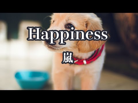 【カラオケ】Happiness - 嵐【オフボーカル】