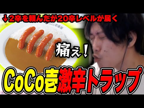 CoCo壱のカレーが明らかに激辛で届いて悶絶する布団ちゃん【2025/3/4】