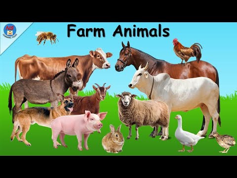 Domestic Animals for Kids | 20 Farm Animals | Farm Animals Names | Farm animals Vocabulary