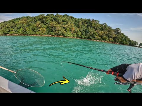 DISERANG SENANGIN PULAU KENDI! | CHAIFishing