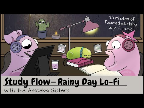 Study Flow: Amoeba Sisters Rainy Day Lo-fi Study Video - 45 Minutes