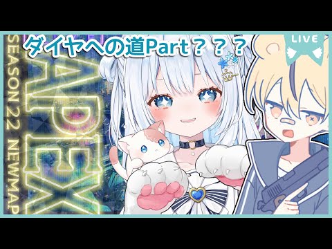 〖apex〗デュオランク💎やる気あります！with🐯♂〖#vtuber / #猫海ましろ /#初見さん大歓迎〗