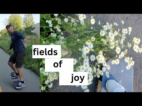 Skating the fields of joy