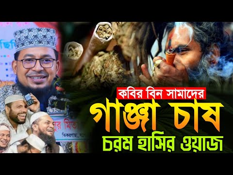 কবির বিন সামাদের গাঞ্জা চাষ|| চরম হাসির ওয়াজ New Waz 2025 Kabir Bin Samad