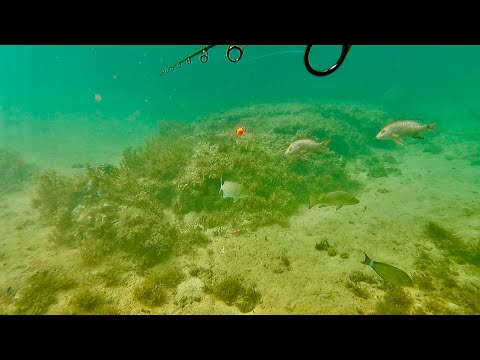 海の中で釣りした結果…