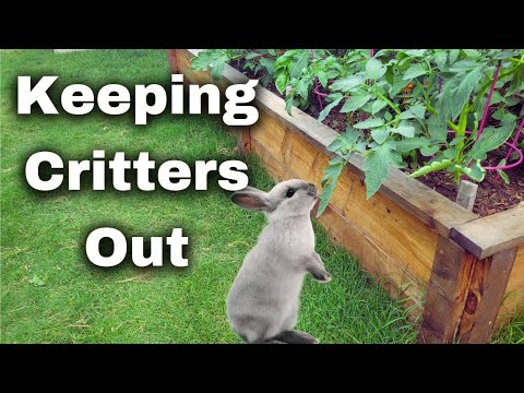 How to Keep Garden Pests and Other Critters Out of Your Garden