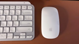 Apple Magic Mouse 2 REVIEW In 2025