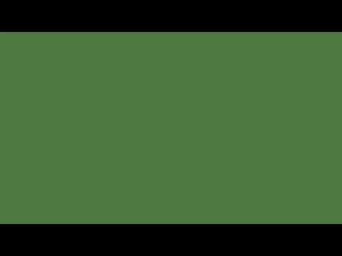 Fern Green Screen (live 06-29-2020)