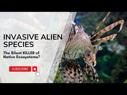 Invasive Alien Species: The Silent KILLER of Native Ecosystems? characters, effects, examples.