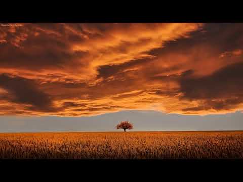 Relaxing Meditation Music, Deep Trance Soothing Music for Relaxation and Meditation