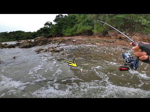 IKAN MAKAN Dekat Pantai Selepas Ribut!!