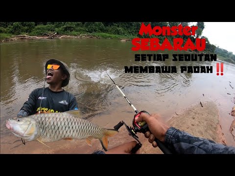 NEW PERSONAL RECORD ‼️ popper hasamu disedut BADONG SEBARAU/HAMPALA #topwater