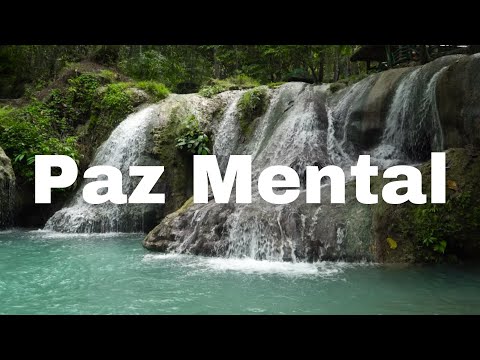 Coração Tranquilo e Cheio de Paz | Musica para Relaxar e Curar | Sons Relaxantes da Natureza