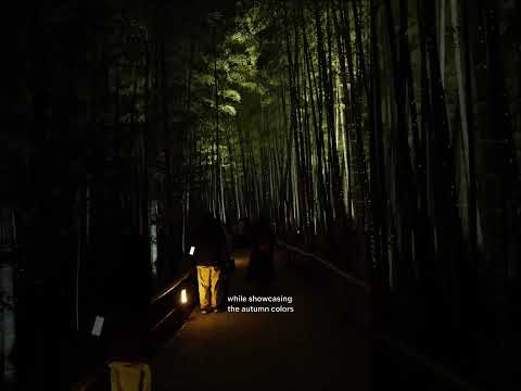 Night illumination at Kodai-ji temple in Kyoto