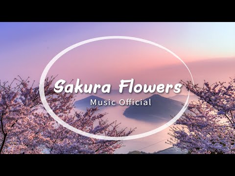 Sakura Flowers - Relaxing Piano (Music Official)