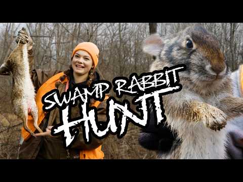 Chasing BIG Swamp Rabbits with a pack of dogs!