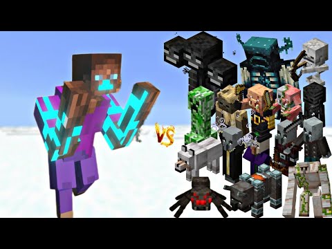 Epic Showdown: All Minecraft Mobs vs. The Ultimate Chad Withered Boxer!