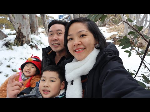 Aussie Adventure Unveiled! 🇦🇺✨ [Family Travel Vlog]