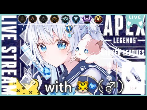 〖apex〗プラチナ帯デュオランク！👑王様with とら！🚹💎〖#vtuber / #猫海ましろ /#初見さん大歓迎 〗