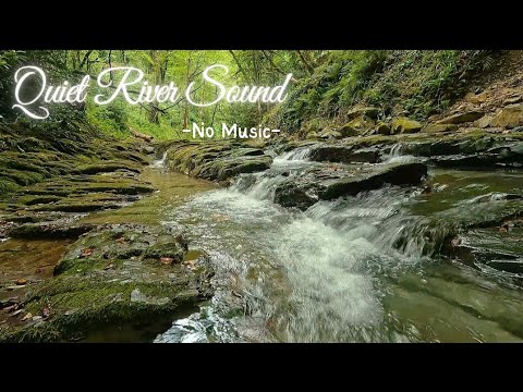 No Music, Quiet River Sounds for 1 hour • Relaxing Stream Sounds use for Relaxation, Sleep, Insomnia