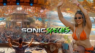 Sonic Species - Ozora Festival 2024 [Full Set Movie]