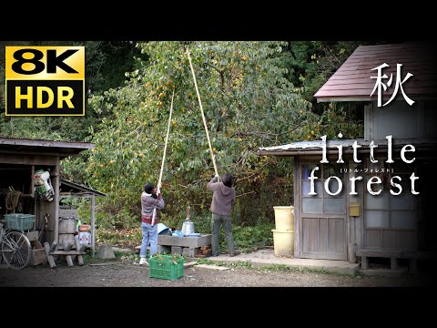 Little Forest - Autumn (2014)  "FLOWER FLOWER" 8K HDR & HQ Sound