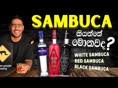 Everything You Need to Know About Sambuca | සම්බුකා ගැන ඔබ දැන ගත යුතු සියල්ල