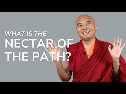 What Is the Nectar of the Path? — Mingyur Rinpoche